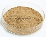 Factory Supply Health Food Soy Bean Extract with 40% Isoflavones (Embryo)