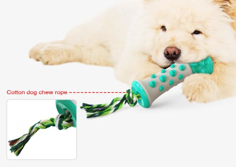 Nuevo producto plástico para mascotas Perros Toys Color verde