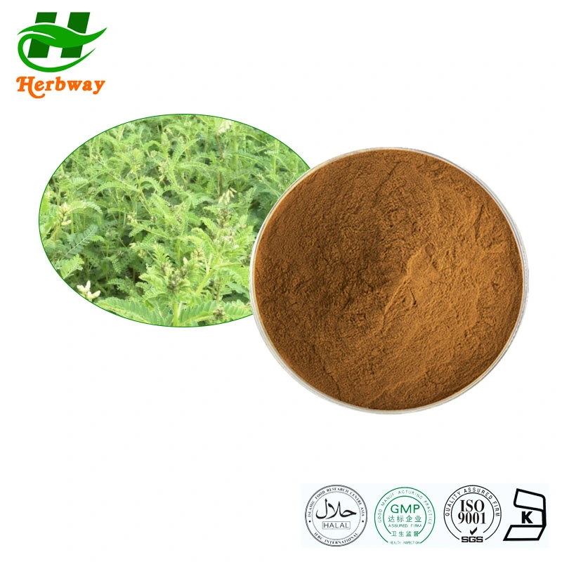 Herbway Kosher Halal FSSC HACCP-zertifizierter Astrgalus Membranaceus (Fisch.) Bunge Astragalus Root Extract for Immunity Enhancer