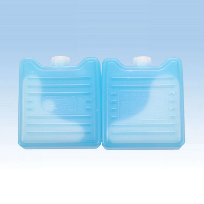 Reusable Plastic Gel Ice Brick Freezer Pack for Keeping Fresh of Fruit