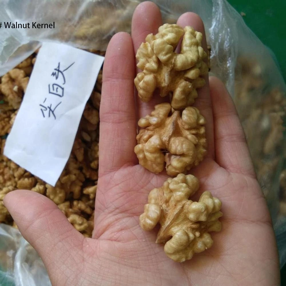 High Quality Chinese Walnut Kernel Without Shell