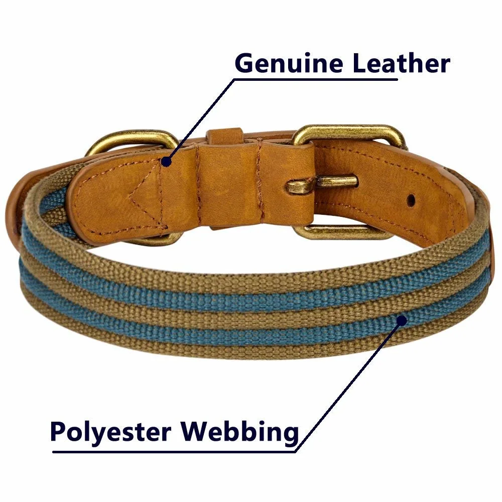 Polyester Fabric and Soft Genuine Leather Webbing Dog Pet Collar