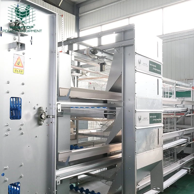 Chicken Poultry Closed House System with Full Set Automatic Equipment