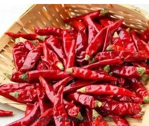 Red Chilli Exported to Domestic and Overseas Markets