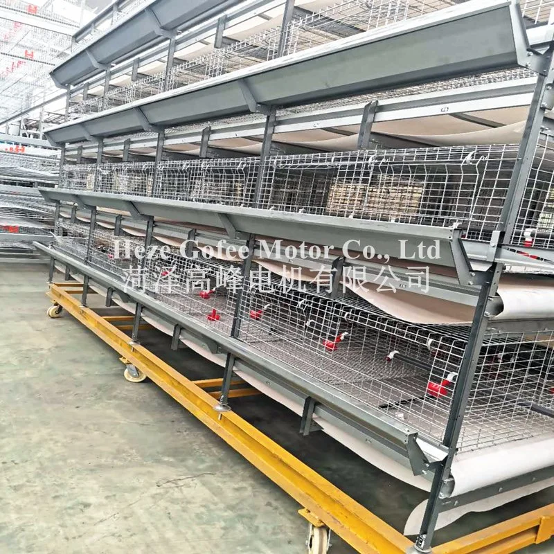 Poultry Equipment Farming Broiler Layer 3 Tiers 4 Tiers Animal Husbandry Equipment Hot DIP Galvanized Feeding Line Cage System