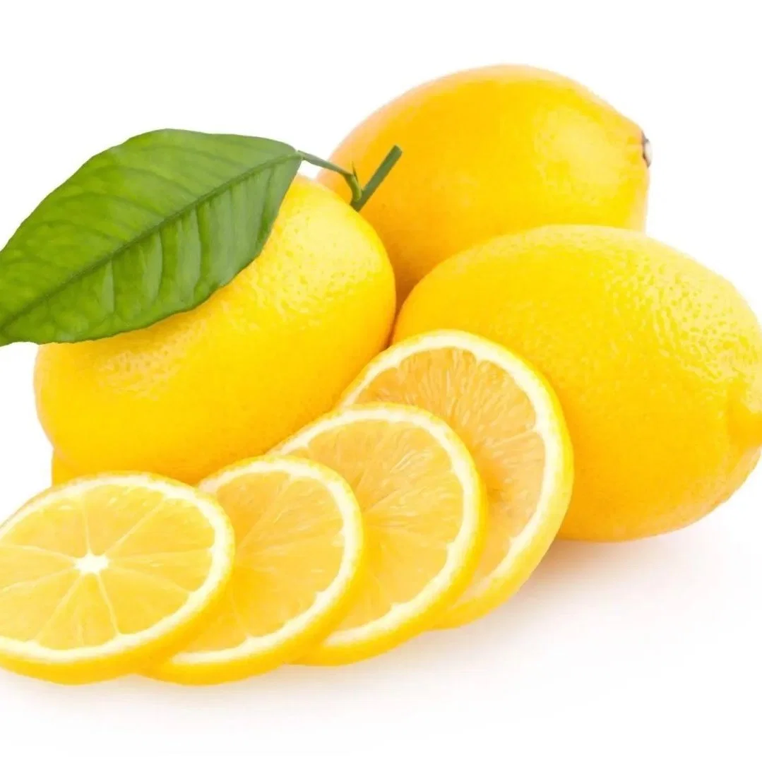 2023 New Wholesale Best Price Fresh Lemon