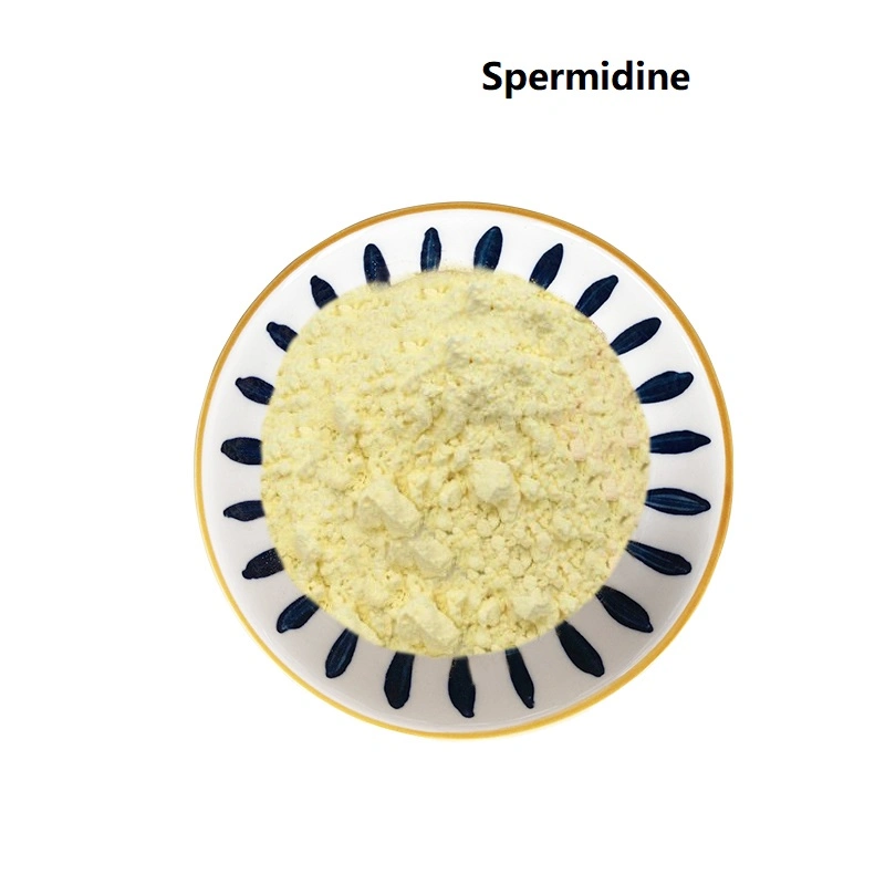 درجة الطعام 0.2% 1% من سبيرميدين CAS No 124-20-9 Spermidine Wheat استخراج