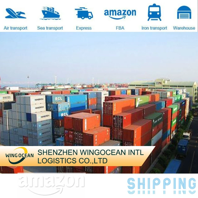 2023 Quick Logistics Shipping Transport Service Sea DDP Shipping From China to USA/ Canada/ Europe