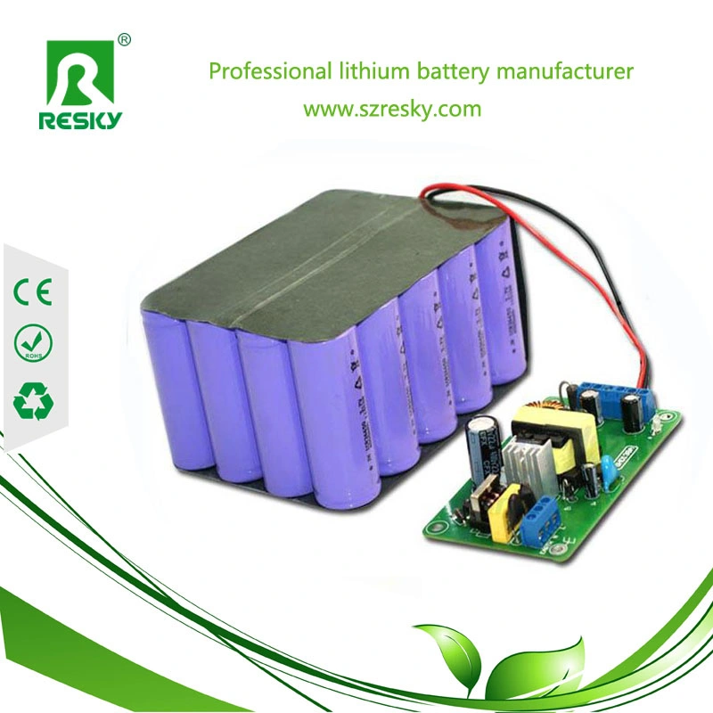 Rechargeable 7.4V 2s 8800ah Lithium Ion Battery Packs for Back up