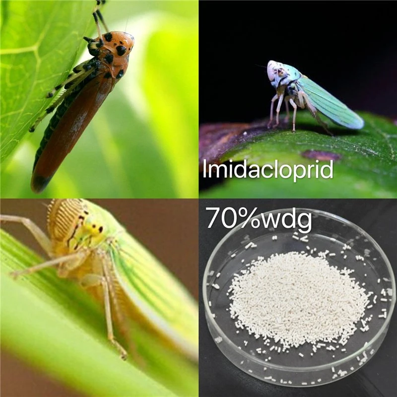 Grânulos de cor branca pesticida	imidaclopride 70% Wdg Bom Preço