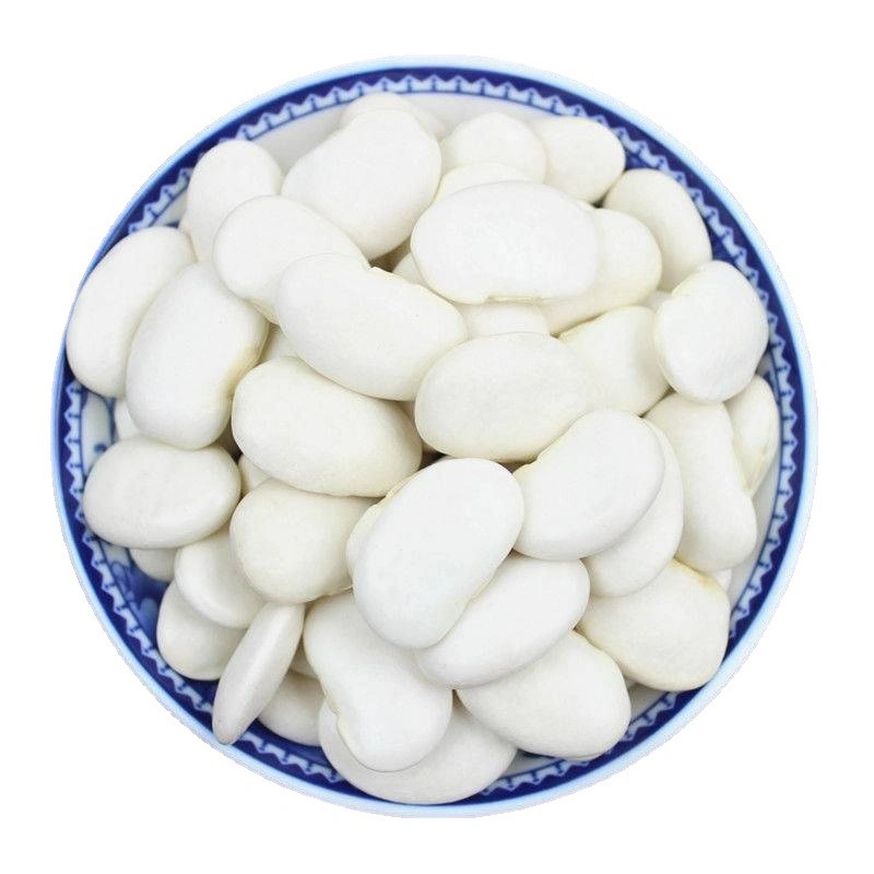 Chinese White Kidney Beans Large Size White Kidney Beans Export