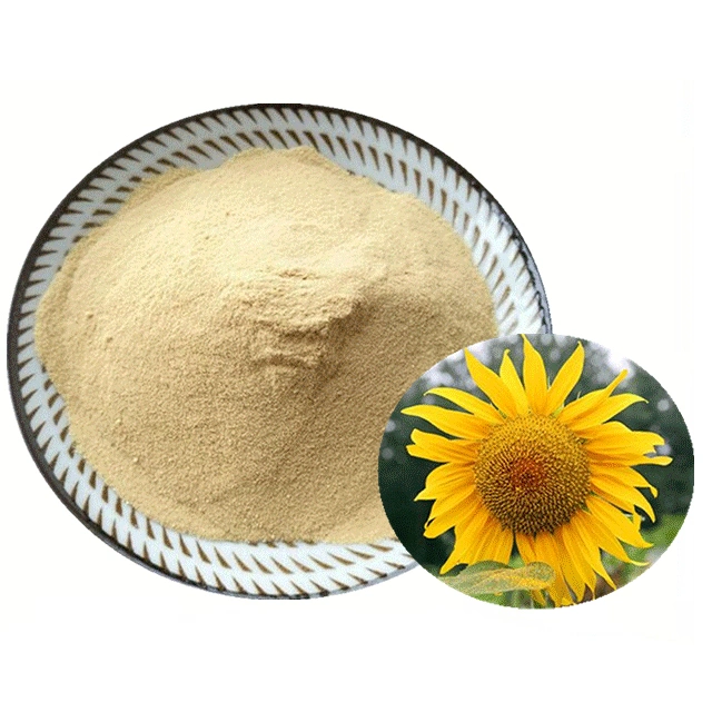 China Stock Sunflower Lecithin 95% 98% Sunflower Lecithin Powder