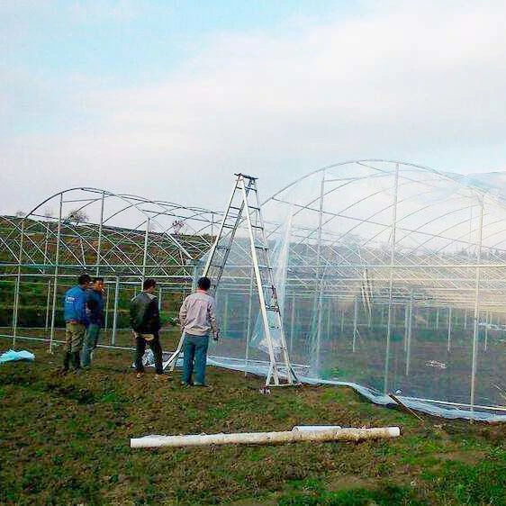 Arrojar la agricultura Multi Span Jardín Agro cálidos invernaderos