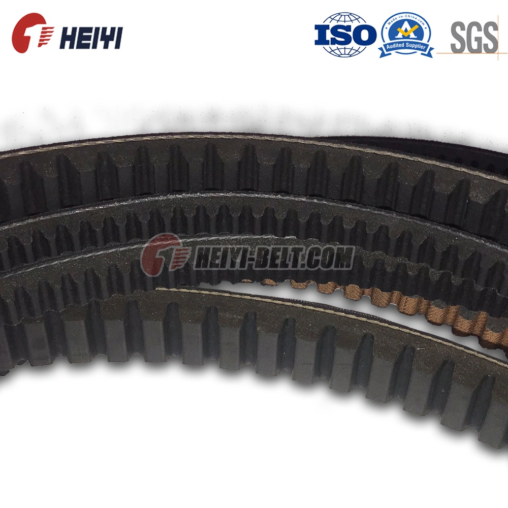 Industrial Rubber V Belt/Transmission Belt for Truck