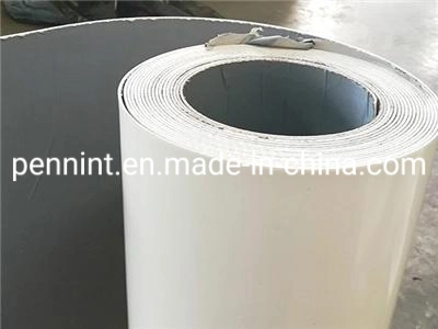 China Fabricante de la membrana impermeable de impermeabilización de cubiertas TPO con ISO&amp;CE