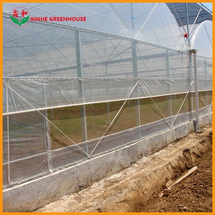 Glasshouse Serre Garden Warm Agro Multi Span Greenhouse with Cooling System for Agriculture