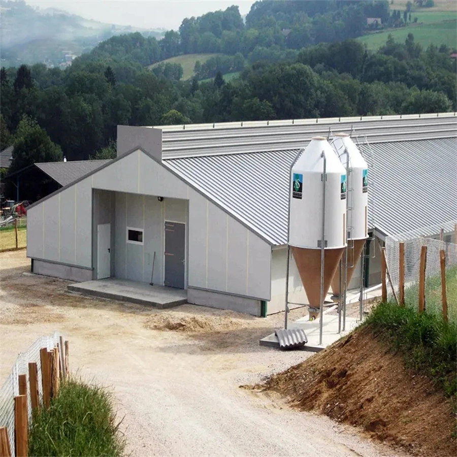 Alimentação de baixo custo Galpão de fazenda de frangos de carne de frango frango de Agricultura da gaiola