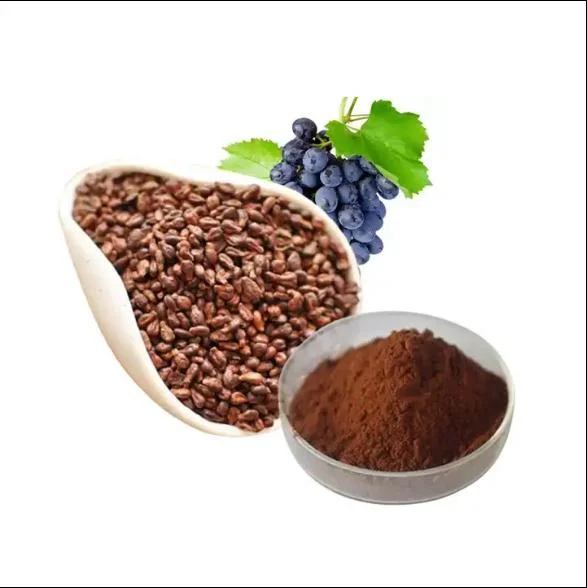 Best Price of Grape Fruits Seed 20: 1 Grape Seed Extract