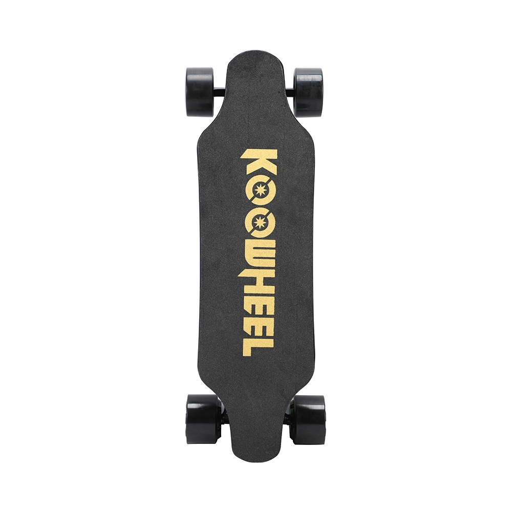Dual Motor Four Wheel Remote Control Balancing Electric Skateboard