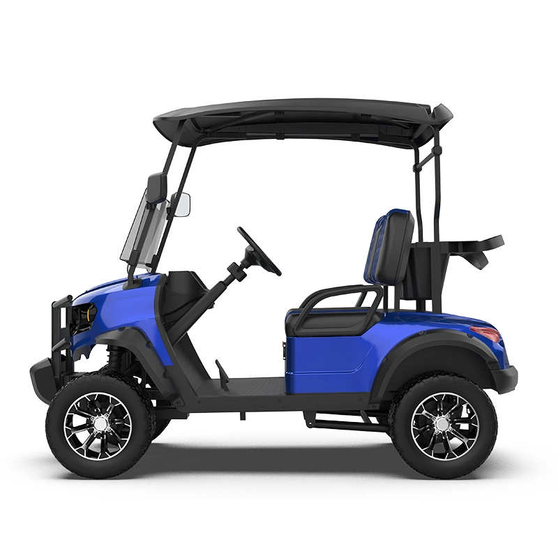 Can Be Cutomized Kinghike Iron Frame, Wrap Film Car Golf Buggy