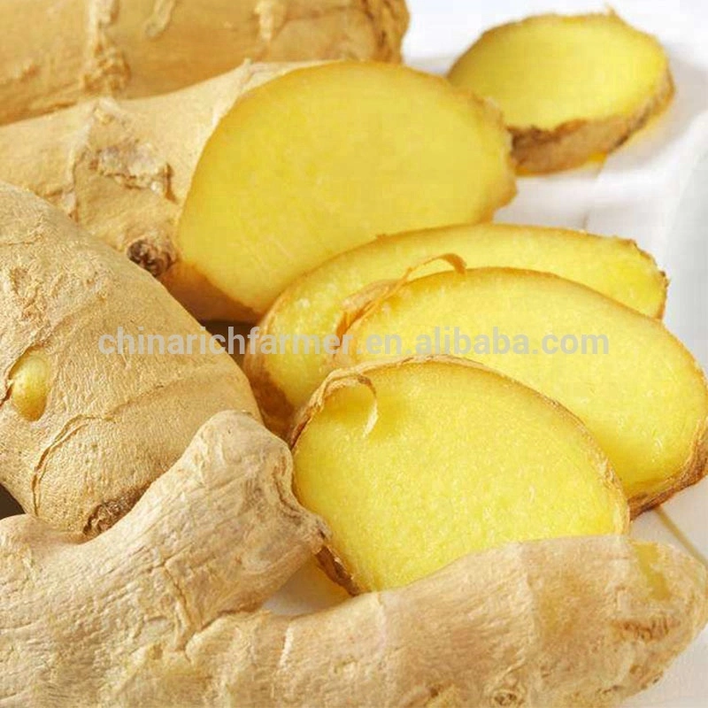 2023 Air Dried Ginger High Quality Chinese Ginger in Carton