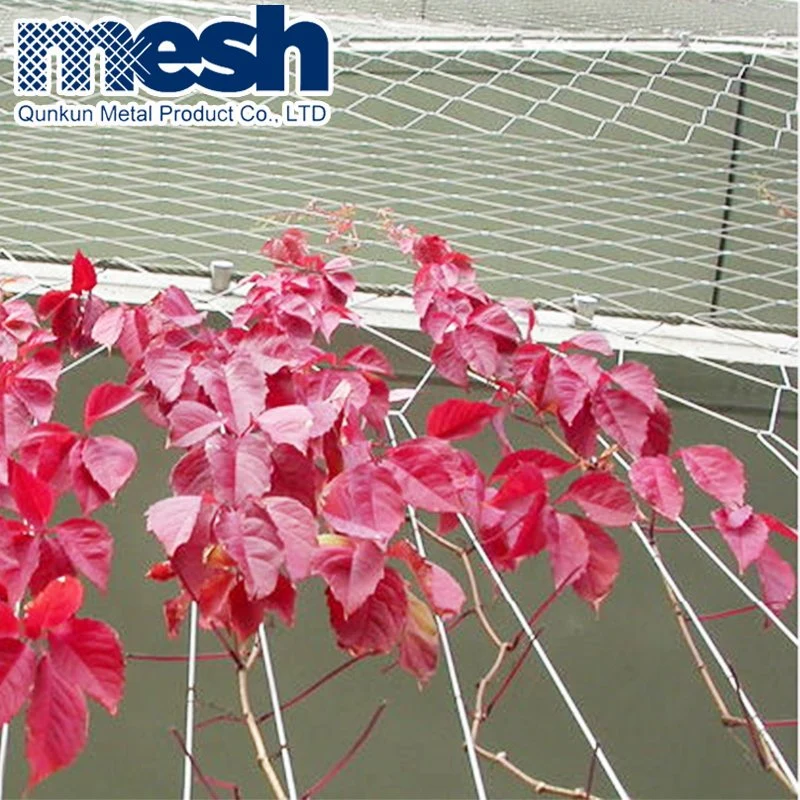 Excellent Flexible Wire Rope Mesh for Zoo Protective