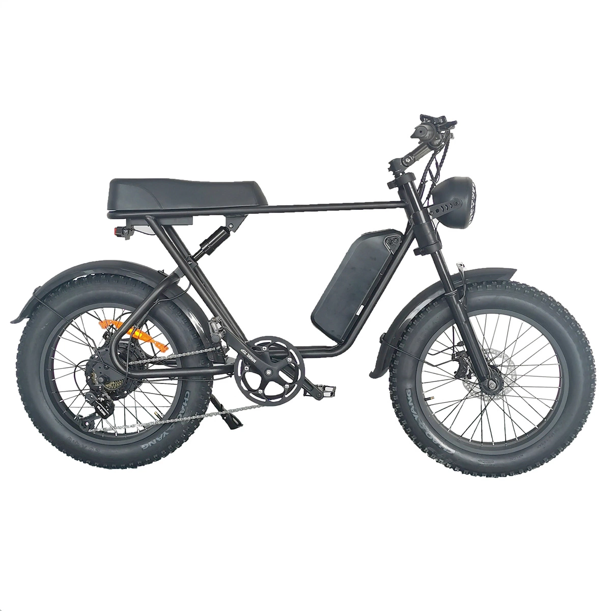 48V 10~18 Ah 1000W Cheap Price Electrique Fat Tire Mountain Bicycle