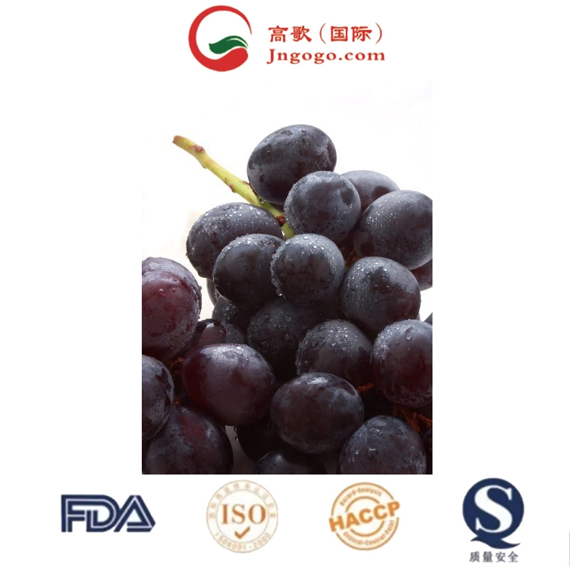 IQF مجمدة من الفواكه الطازجة IQF Grapes