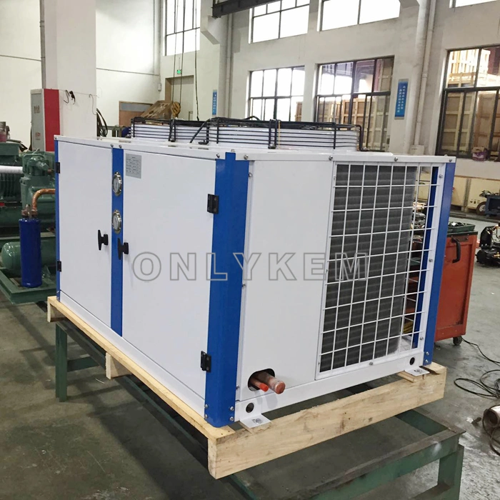 Air Conditioning Condensing Unit Air-Cooled Cooling Unit Freezing Equipment