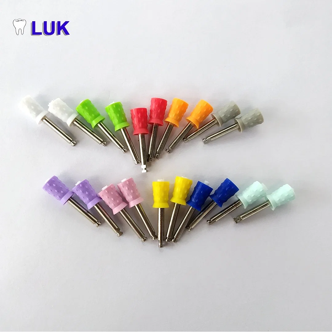 Hot Sale Dental Disposable Polishing Prophy Cup