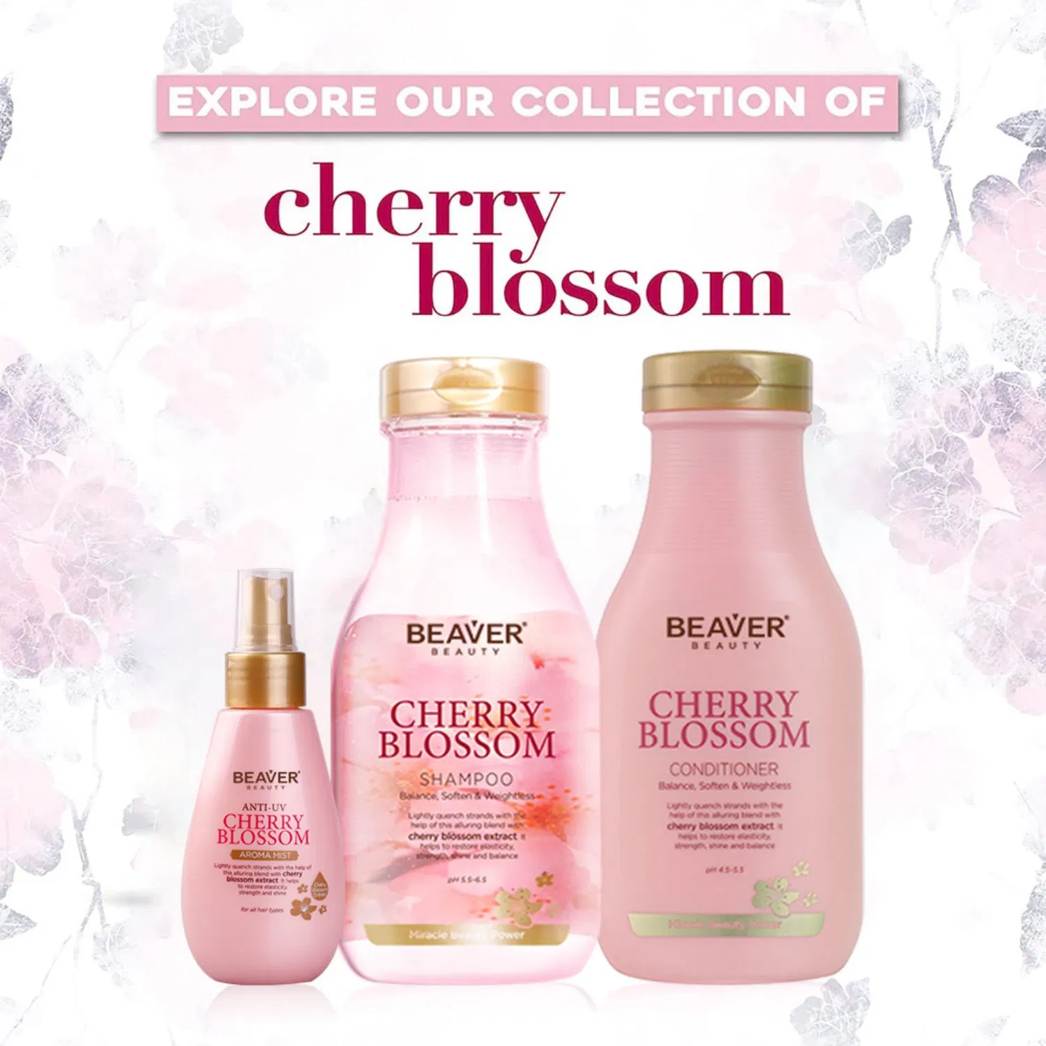 Beaver Oil Control nourriture nourriture cerise Blossom shampooing et conditionneur de cheveux