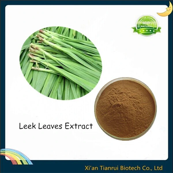 100% Natural Leek Leaf Extract