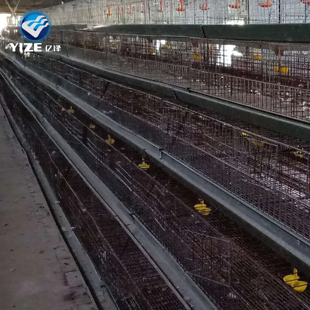 Capa de aves Granja jaula de pollo Single a Tipo caliente-sumergido Galvanizado Alimentador grande