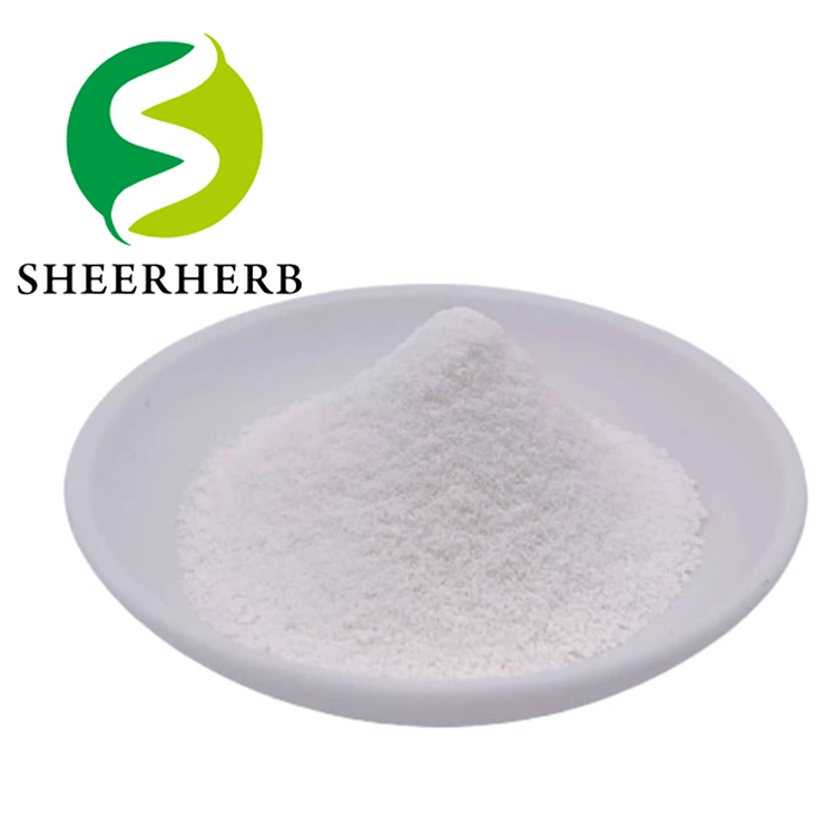 Pharmaceutical Intermediates CAS 103-90-2 Raw Materials Antipyretic Analgesia Panadol Acetaminophen Paracetamol