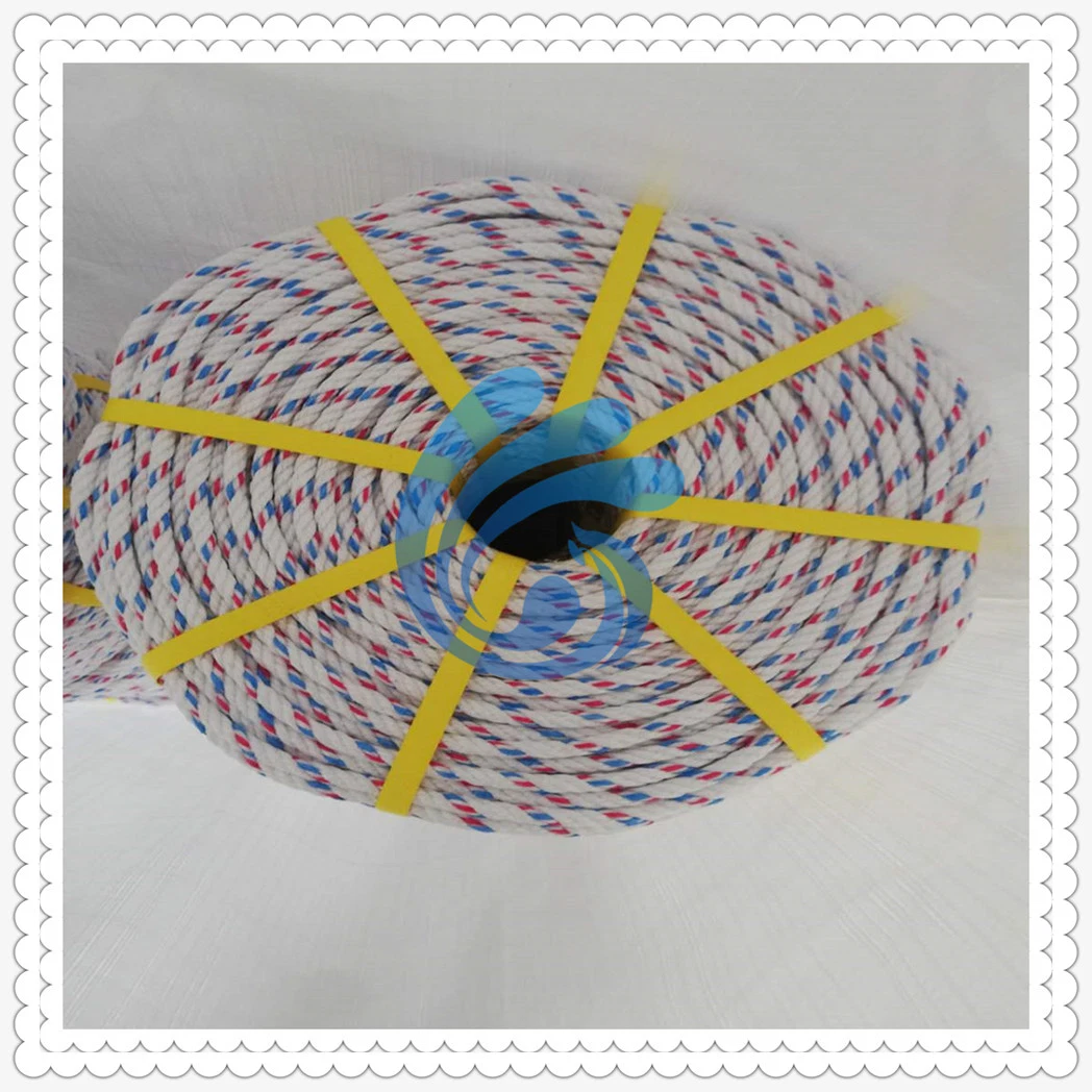 Customized Colorful 3/4 Stranded Twisted PP PE Rope