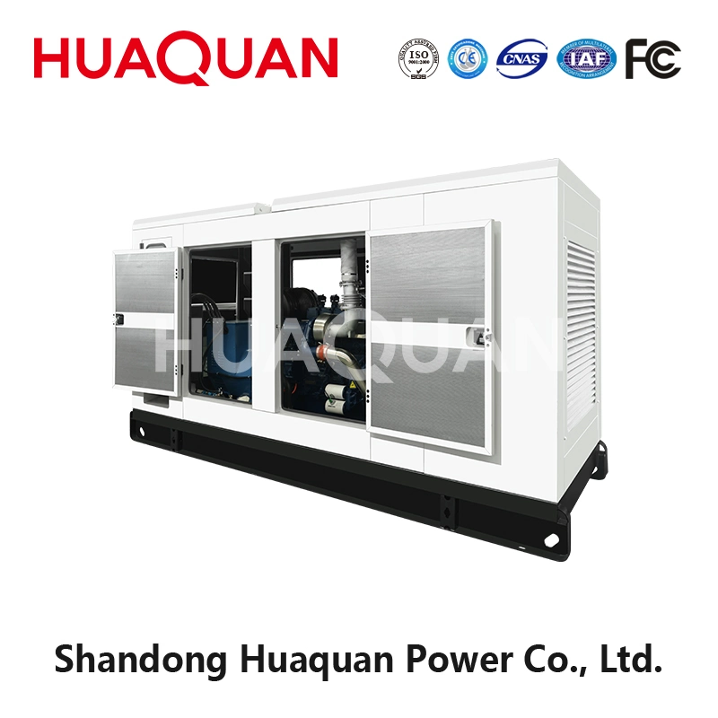 250kw Weichai Engine Wp13D317e200ng Natural Gas/CNG/LNG Generator 312.5kVA Silent Type
