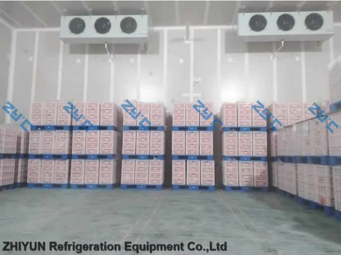 Evaporative Air Cooler Frozen Fish Fillets for Cold Storage Delivery Cold Room