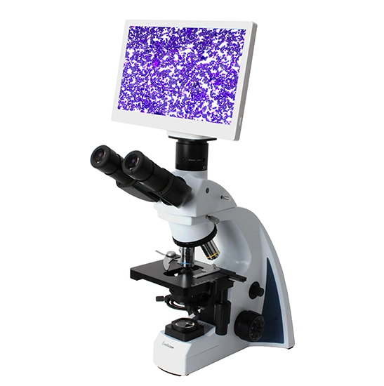 BestScope BLM2-241 microscope biologique numérique LCD 1080p 6,0MP 11.6 pouces Pour les cliniques et les laboratoires