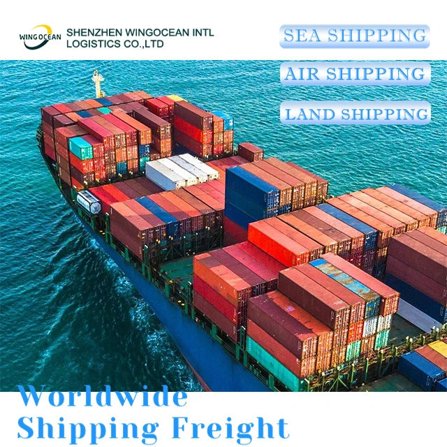 Excellent China Freight Forwarder Shipping Agent for USA/ Canada/ Europe Sea Shipment