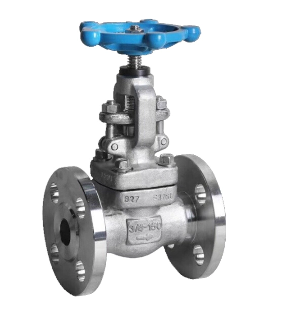 Forged Stainless Steel Manual Operation Flange Globe Valve