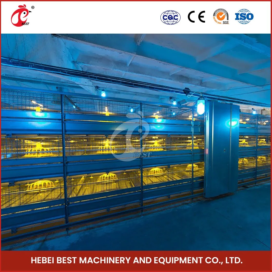 Bestchickencage China Wholesale/Supplier Hen Coop Manufacturer H Frame Automatic Boriler Cages ODM Custom Good Ventilate DIY Cage for Chicken