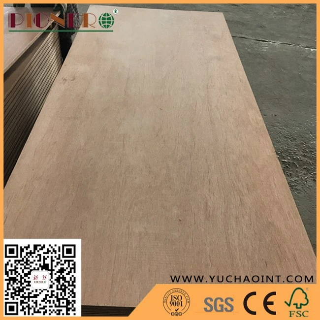 Keruing Face/Back Container Flooring Plywood with Phenolic Glue