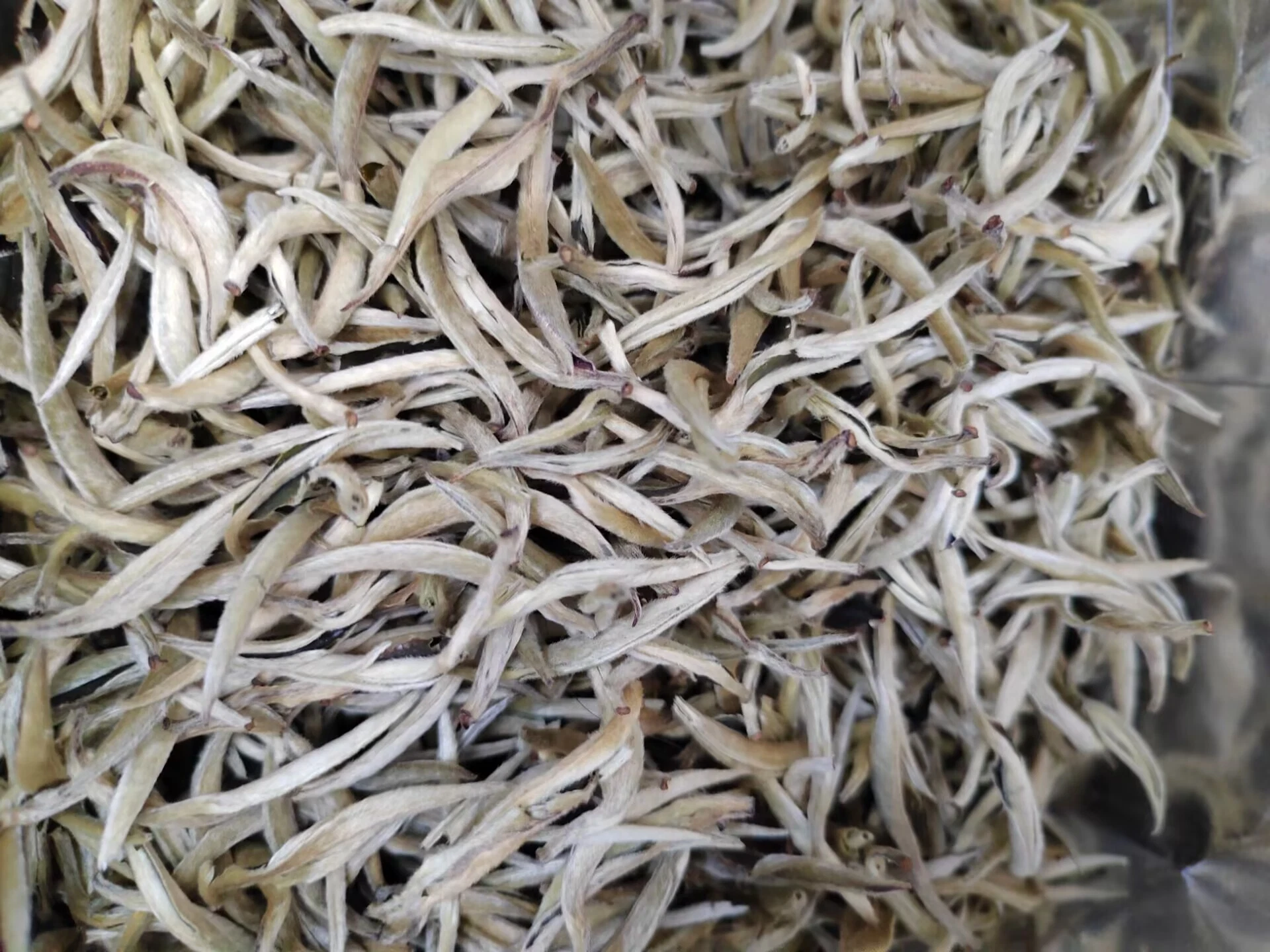 Wholesale/Supplier Bulk White Tea. (bai hao yin zhen)