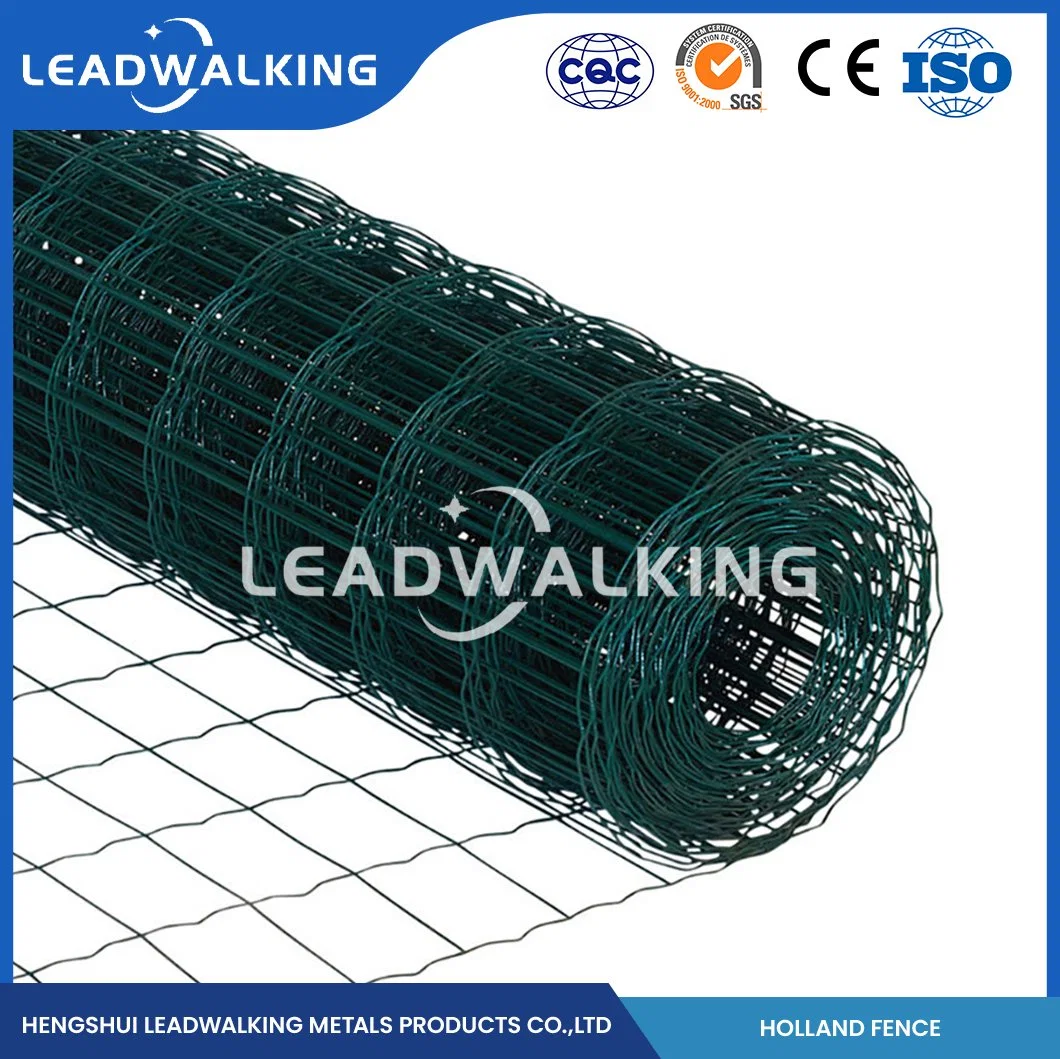 Leadwalking 2m Wide Welded Wire Mesh Factory Sample Available Wave Netting Fence China 2.0-3.0mm Wire Thickness Holland Wire Mesh