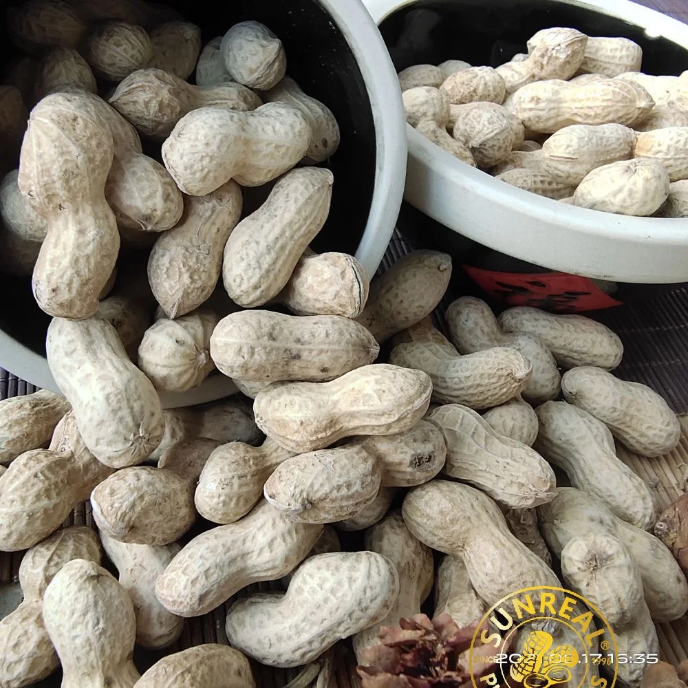 2021 Raw Peanut في Shell/Java/Good Services