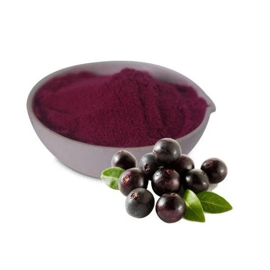 Food Additives Spray Dried Acai Berry Extract Powder Bulk Acai Powder