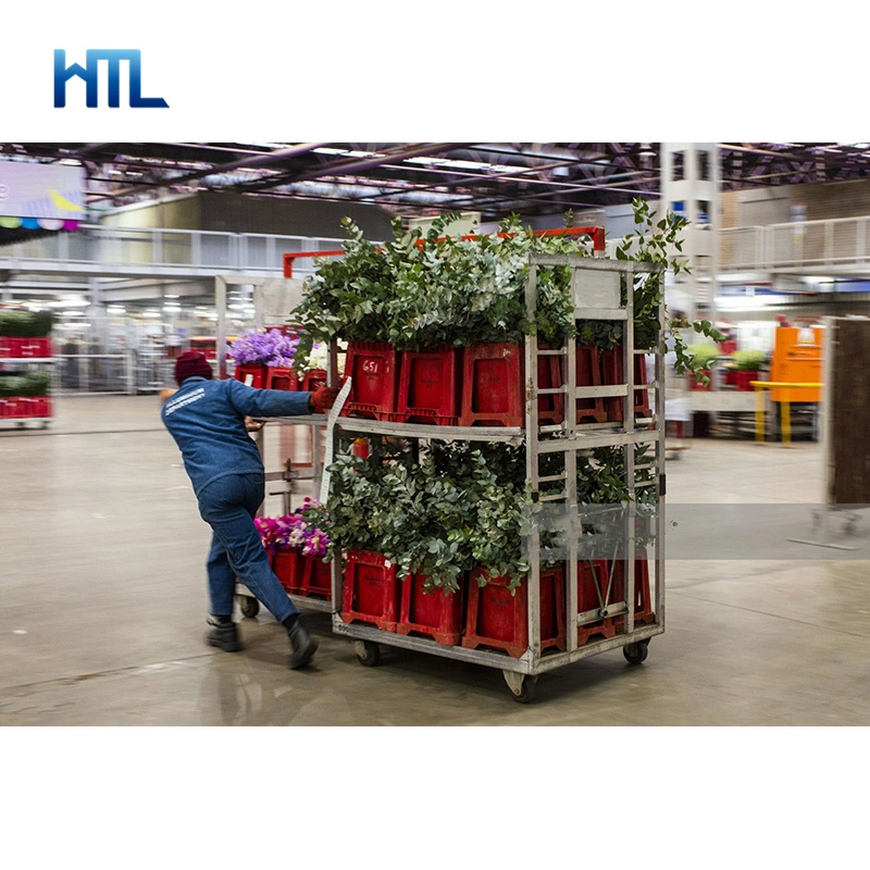 Garden Center Greenhouse Flower Auction Cart with Aluminium / Wood Base