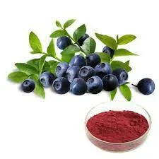 Factory Provide European Bilberry Extract European Bilberry Fruit Extract Powder