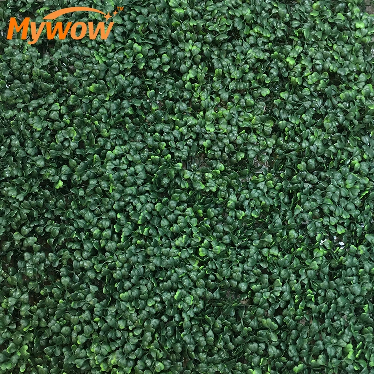 Mywow Fresh PE Material Evergreen Artificial Plant Hedge Wall for Wall Decoration