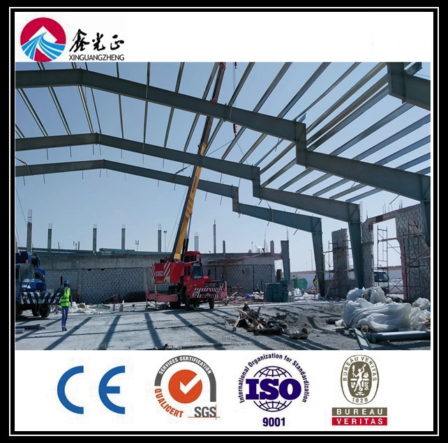 Frontal Frame / Steel Frame / Steel Structure/Marie Fender (BYSS-104)